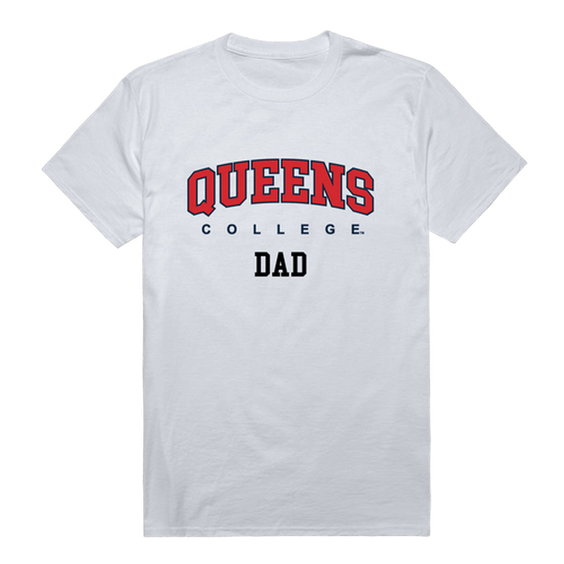 Queens College Knights Dad Tee T-Shirt - Heather Grey, Small