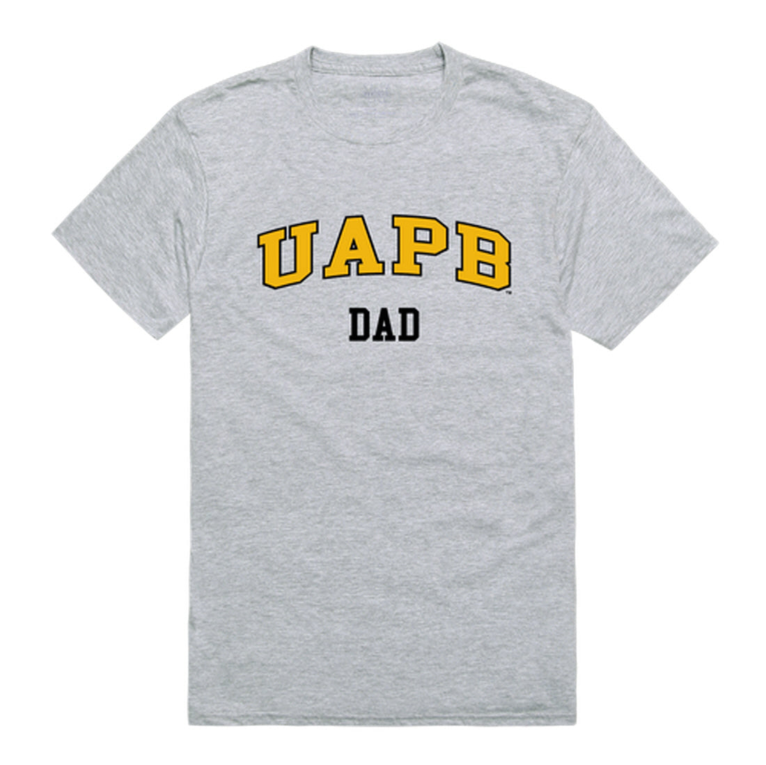 University of Arkansas at Pine Bluff Golden Lions Dad Tee T-Shirt - Black, Small