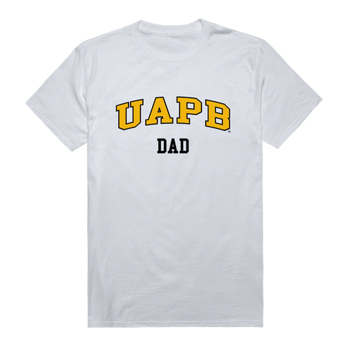 University of Arkansas at Pine Bluff Golden Lions Dad Tee T-Shirt - Black, Small