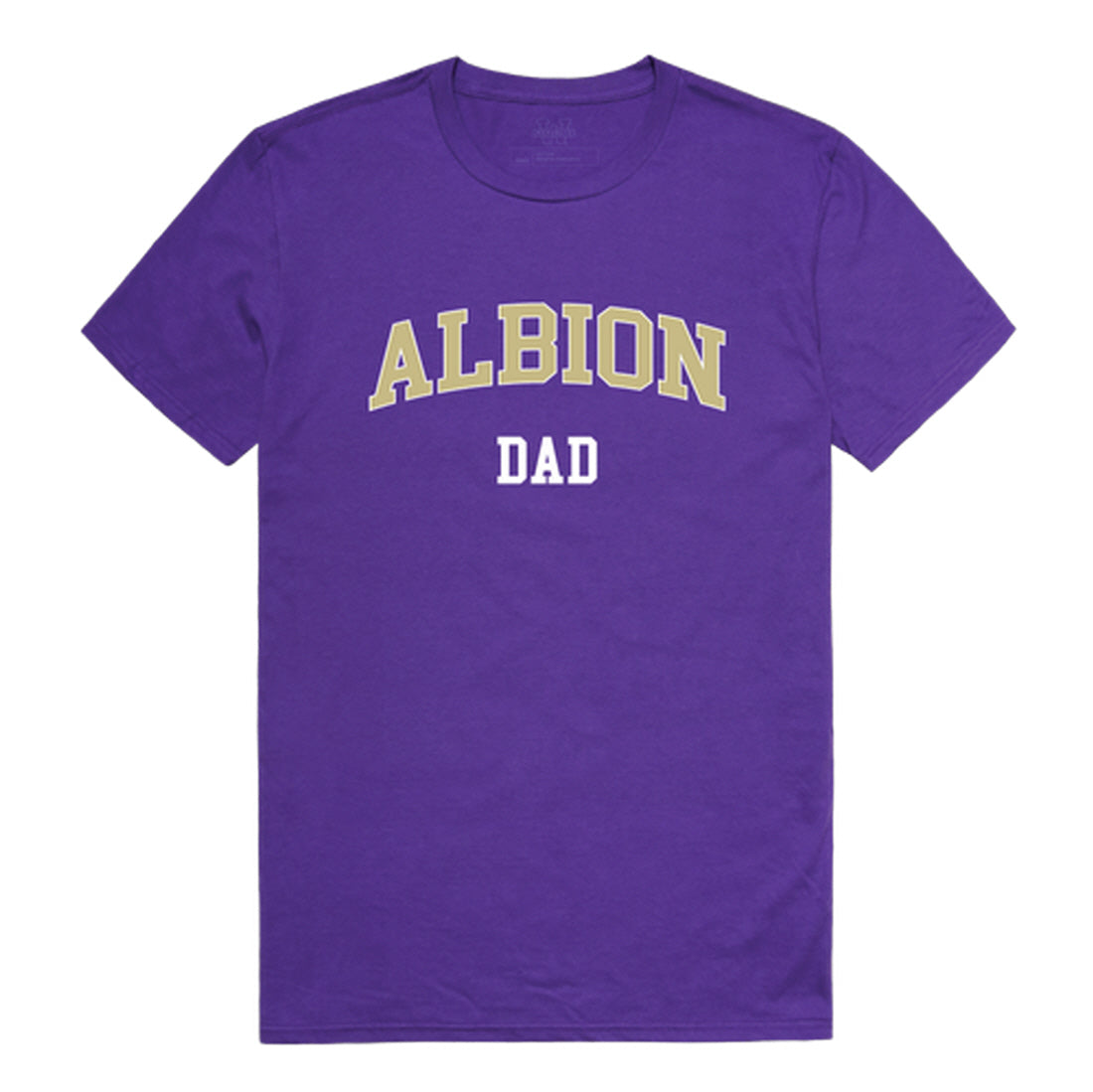 Albion College Britons Dad Tee T-Shirt - Heather Grey, Small